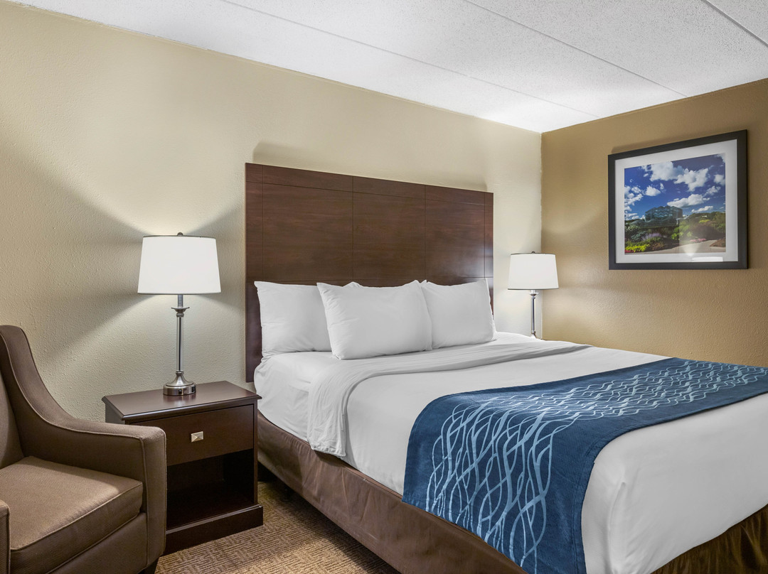 Comfort Inn Grand Rapids Airport主图