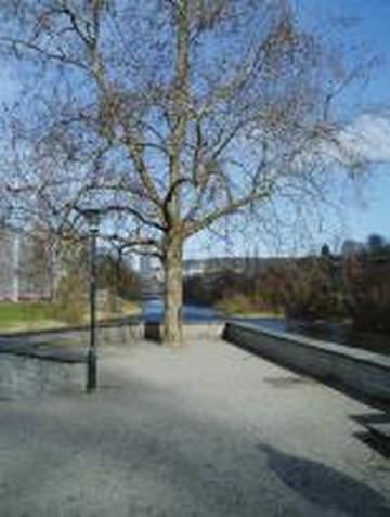 James Joyce's Grave-苏黎世必去景点