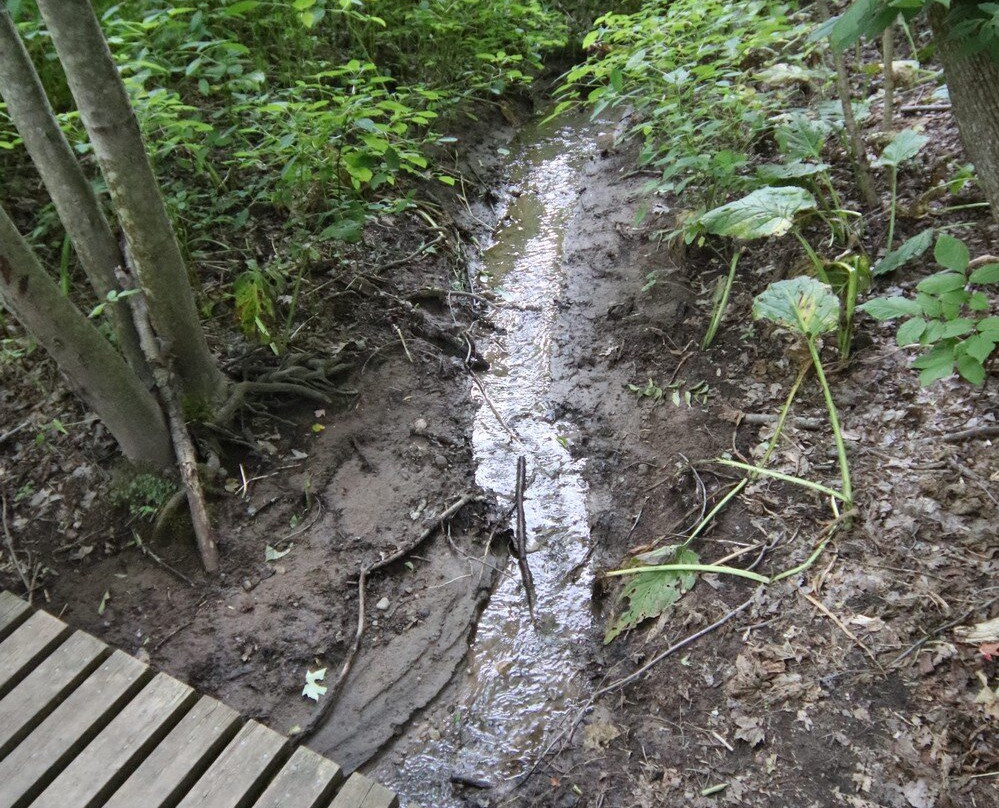 John Nemy Nature Trail-方特希尔必去景点