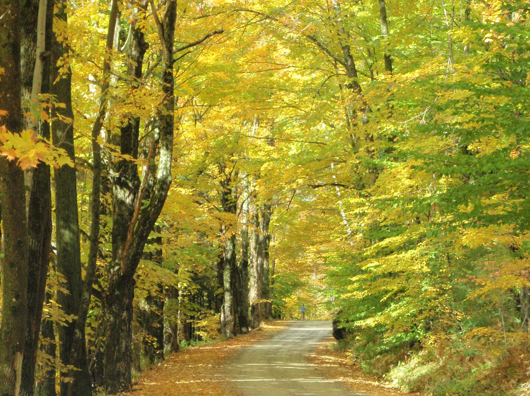 Lincoln Gap Road-佛蒙特必去景点