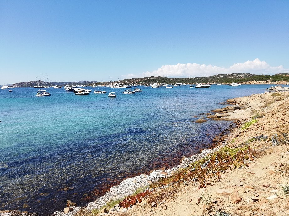 Cala Andreani-Caprera必去景点