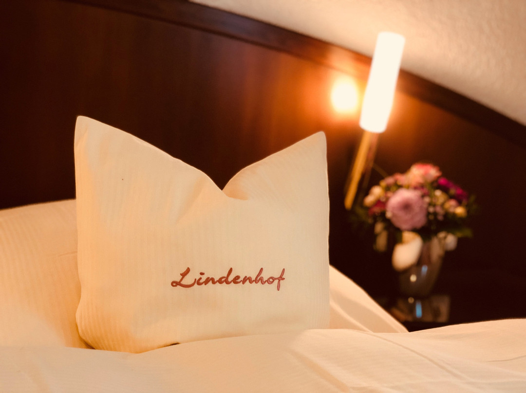 Hotel Lindenhof主图