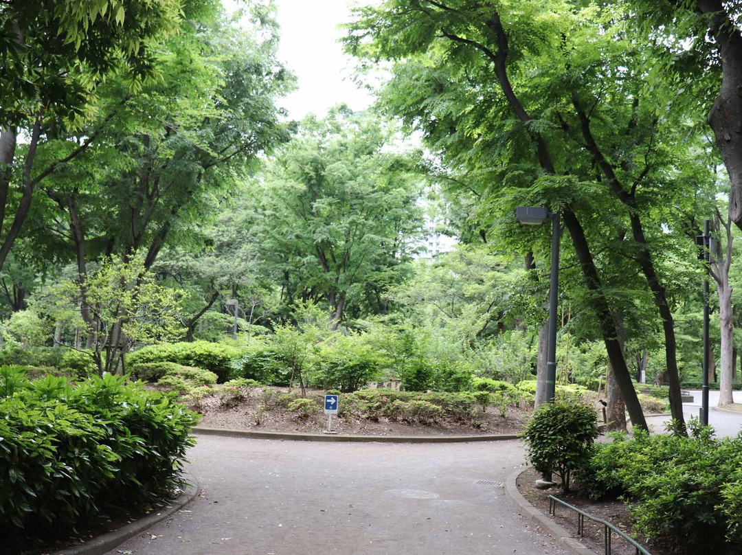 新宿中央公园景点图片