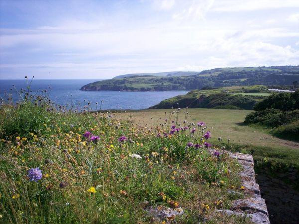 The Wildlife & Forts of Berry Head Trail景点图片