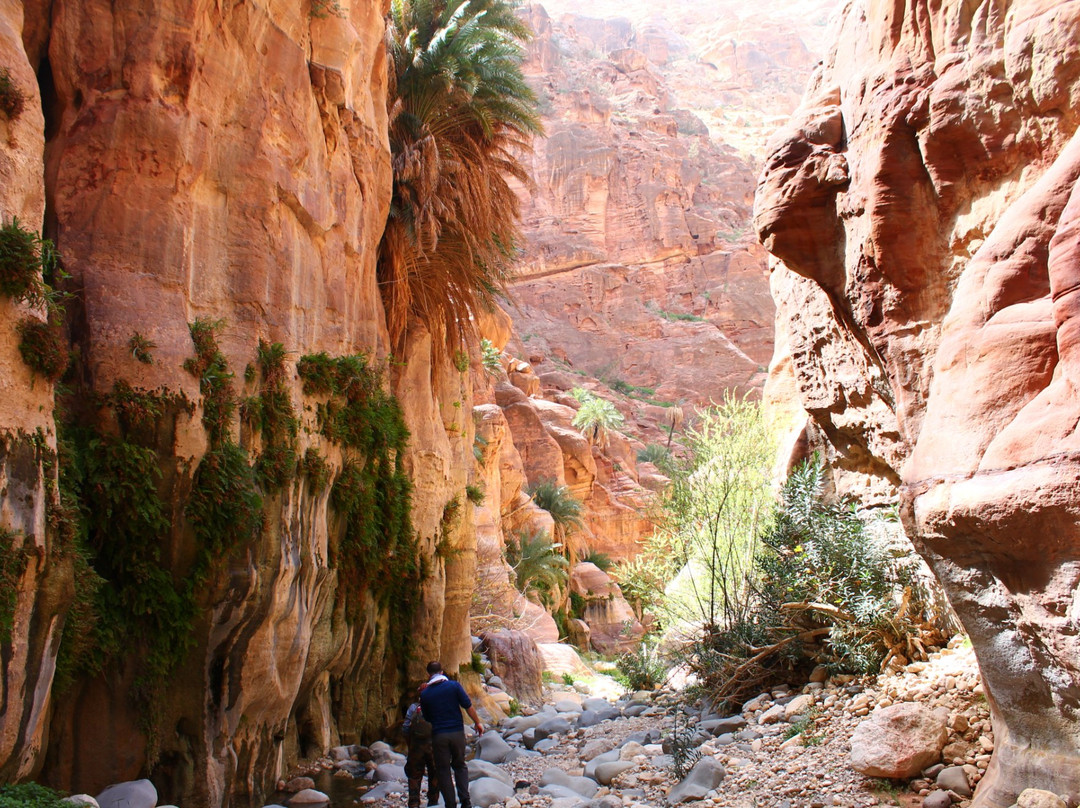 Dana旅游景点-Wadi Ghuweir