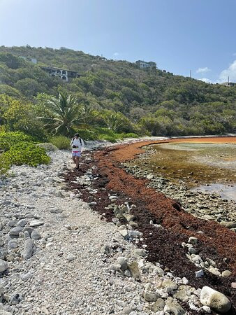 Limestone Beach-Water Island必去景点