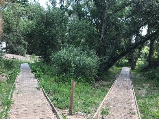 Reserva Natural de Los Sotos de Alfaro-Alfaro必去景点