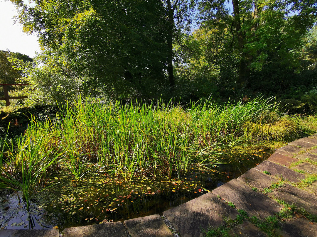 Colintraive Community Garden景点图片