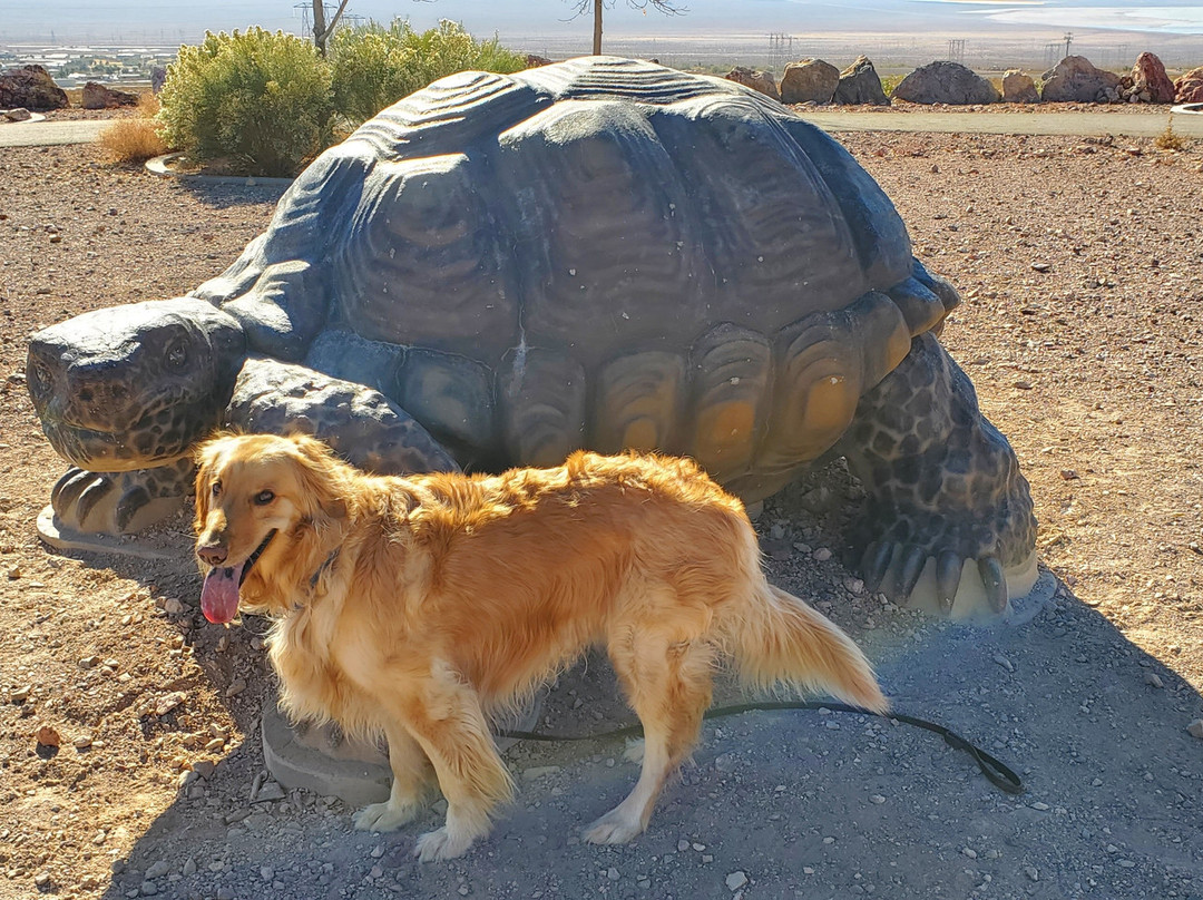 Boulder City’s Nature Discovery Trail and Rock Garden-博尔德城必去景点