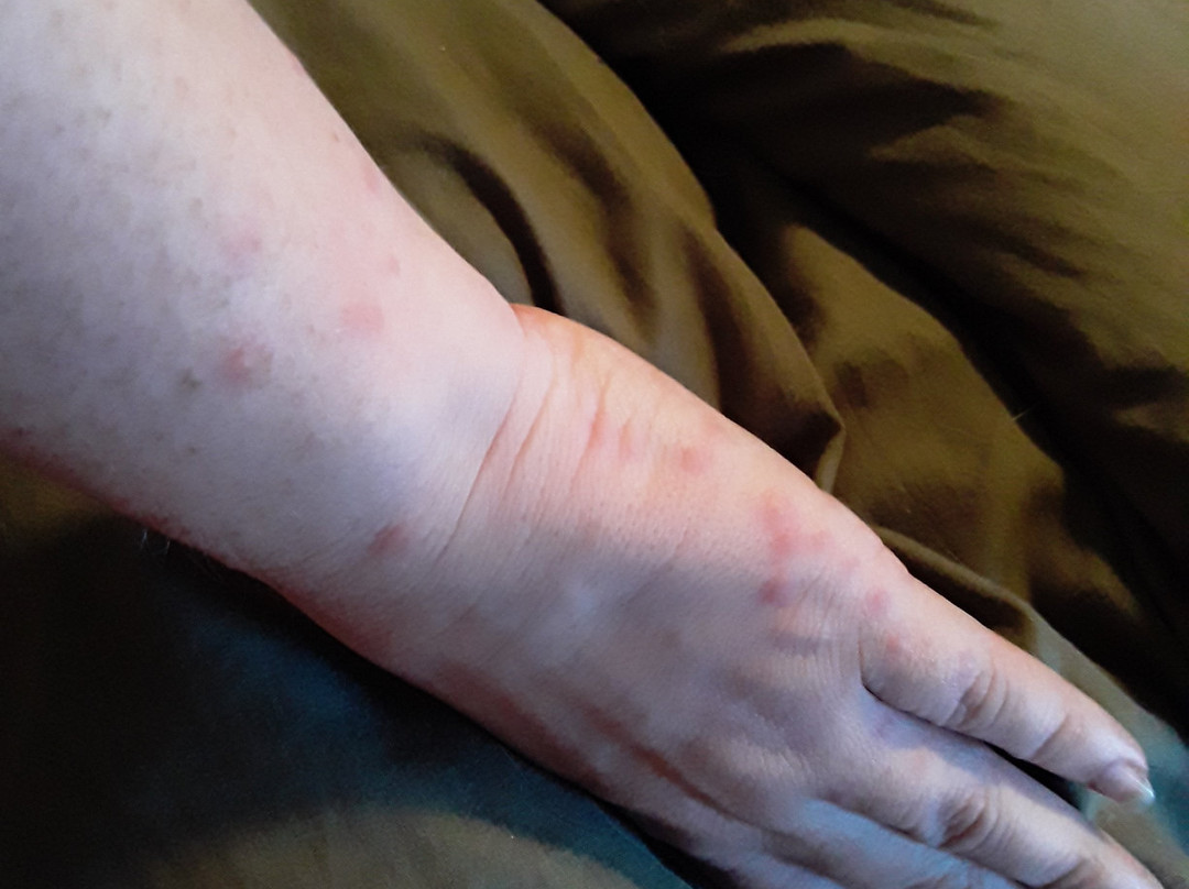 Comfort Suites South Haven Near I-96主图