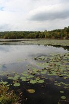 Ramapo Mountain State Forest景点图片