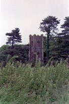 Askeaton Friary-Askeaton必去景点