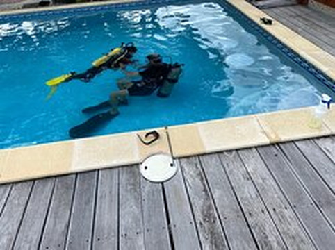 Dive Safaris-辛普森湾必去景点