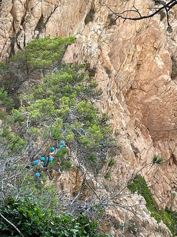 Via Ferrata Cala del Moli-Sant Feliu de Guixols必去景点