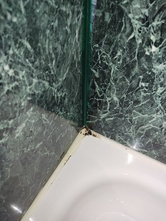 阿尔卡拉德埃纳雷斯万豪AC酒店主图