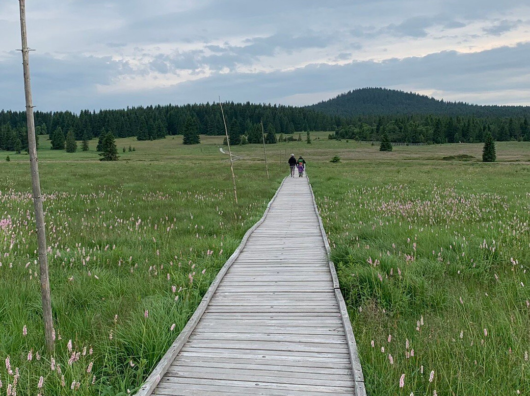 Boží Dar Peat Bog Trail景点图片