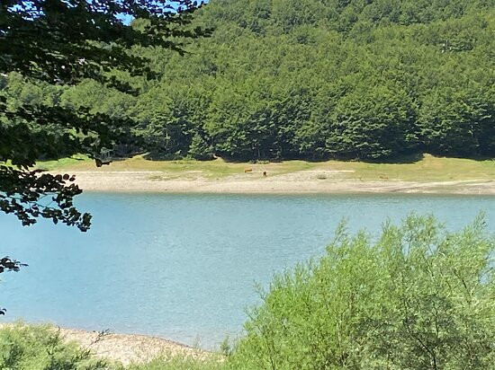 Lago Paduli景点图片