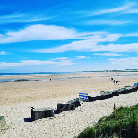 The Sun Inn Alnmouth主图