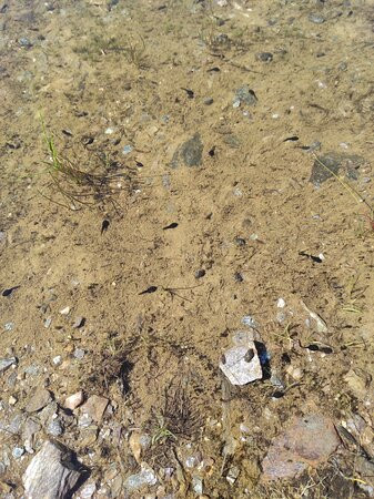 Crest-Voland / Cohennoz Tourisme-Crest-Voland必去景点