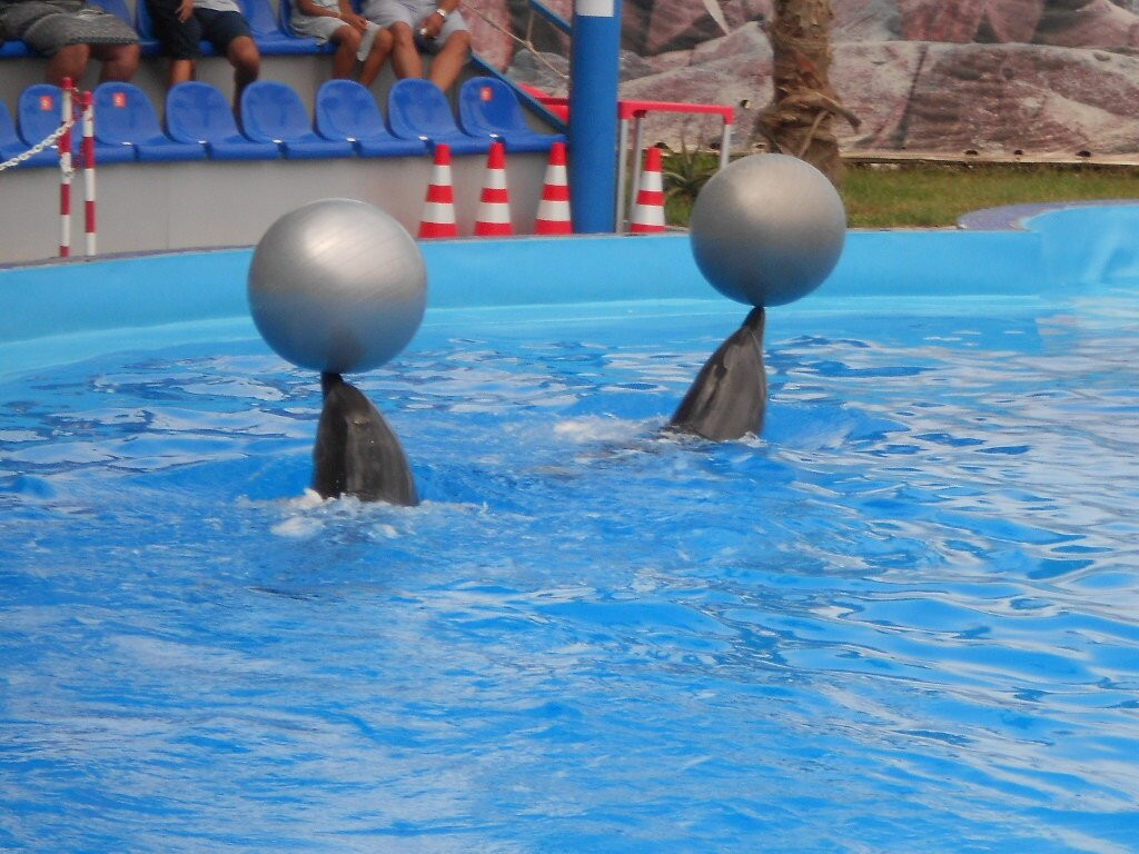 Agadir Dolphin World-阿加迪尔必去景点