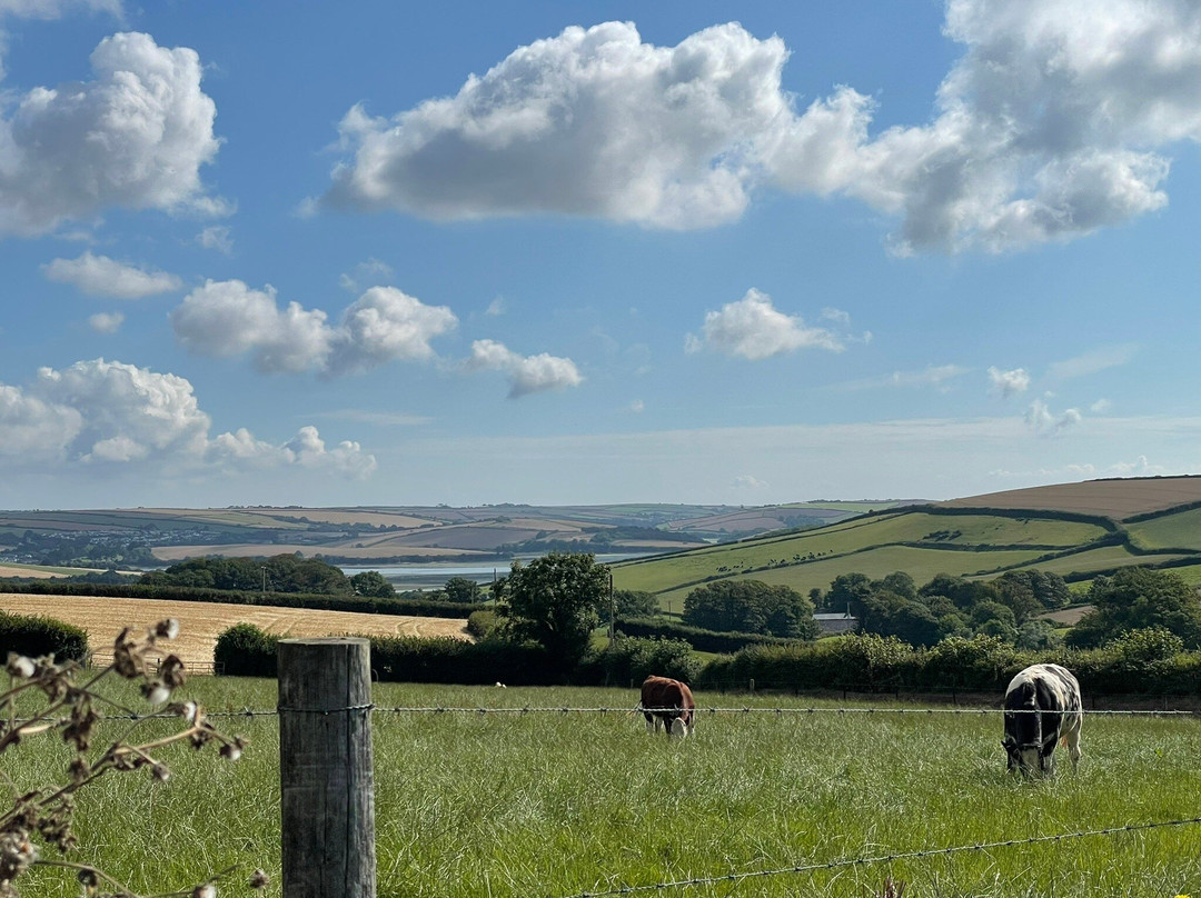 Ilton Farm Campsite