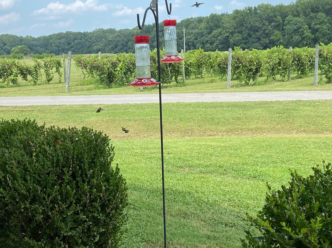 de terra Vinyard & Wines of Somerville-Somerville必去景点