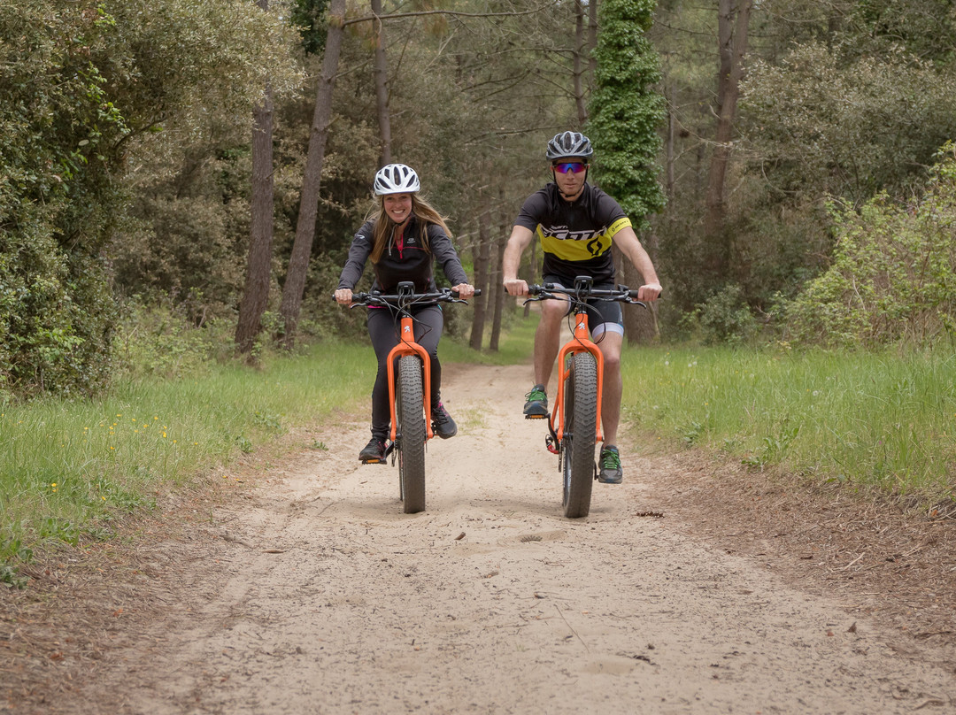 Fat Sand Bikes 17景点图片