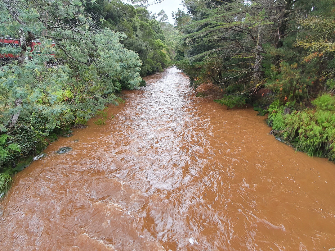 Lynchford Station-皇后镇必去景点