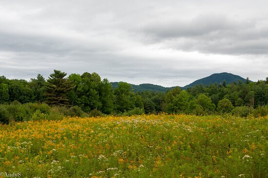 Bark Eater Inn主图