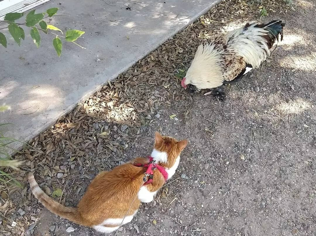 Faywood Hot Springs-Faywood必去景点