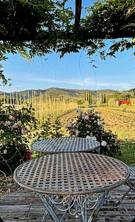 Agriturismo Cuprena主图