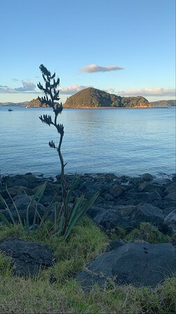 Barefoot Sailing Adventures-派希亚必去景点
