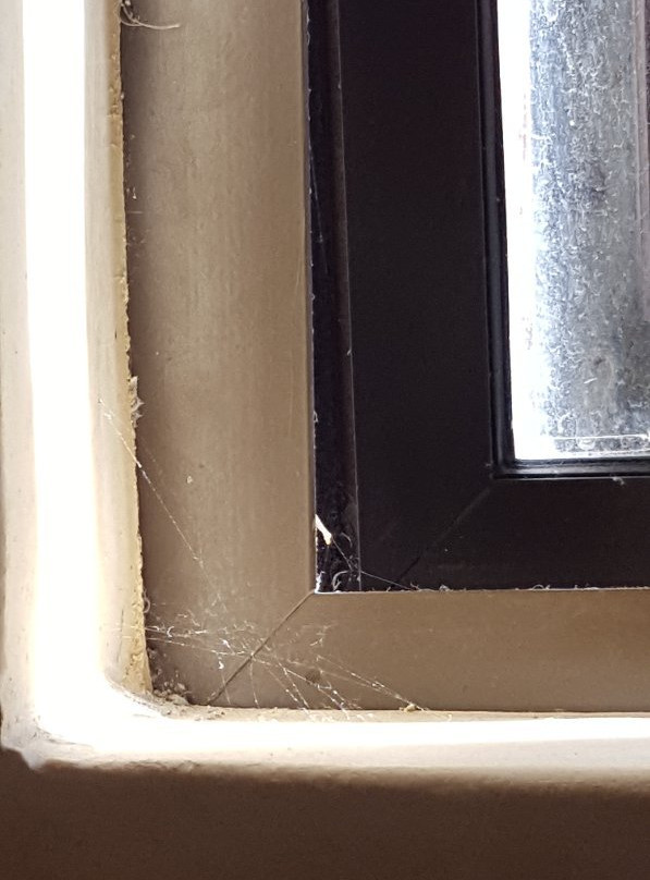 The Welgemoed Guesthouse主图