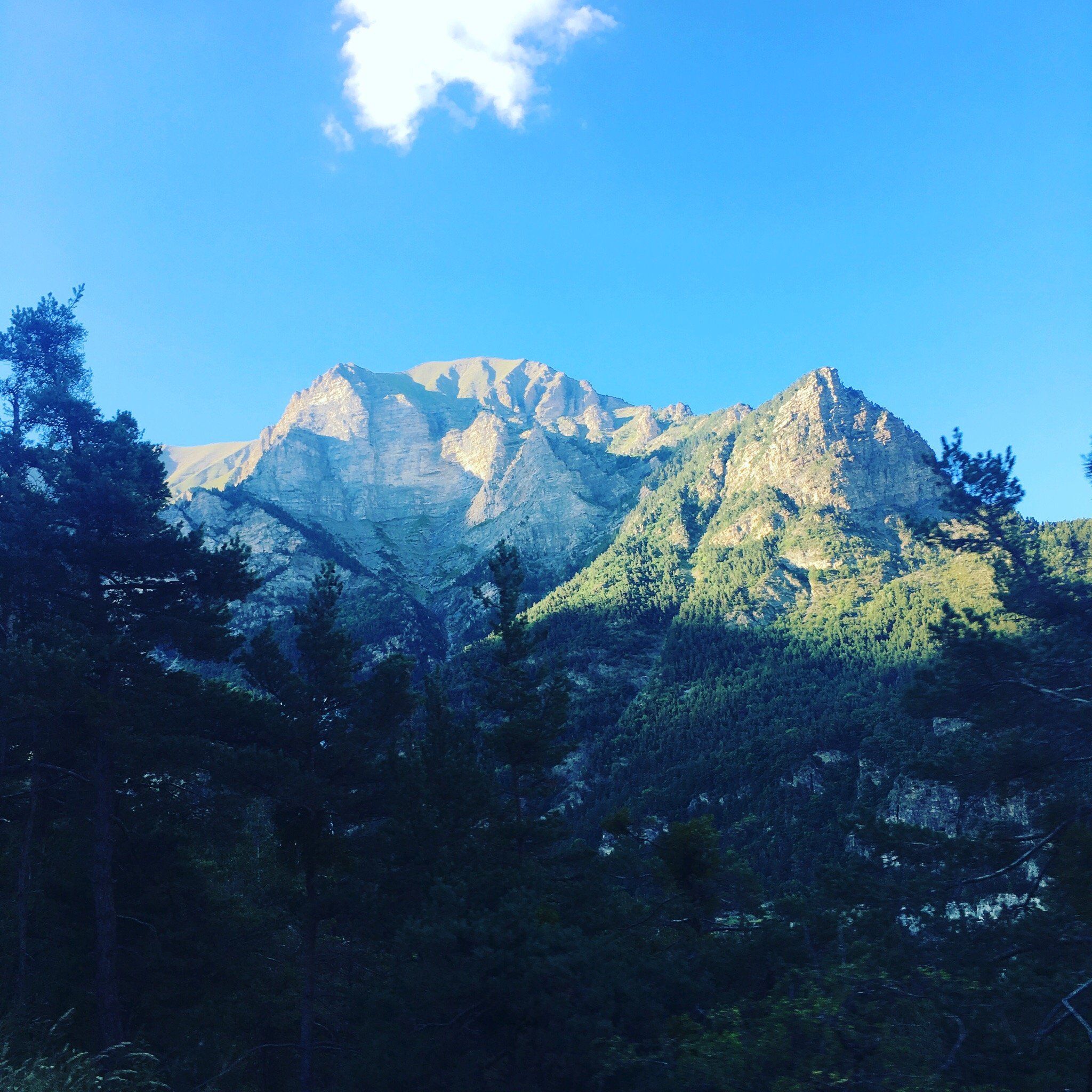 Gite Auberge les Pinées-官方