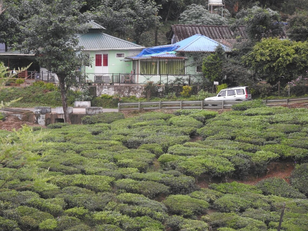 KTM 7th Heaven Home Stay