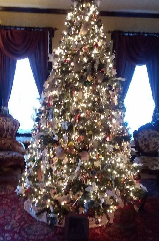 Calumet and Arizona Guest House主图