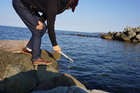 Minshuku Sakaemaru主图