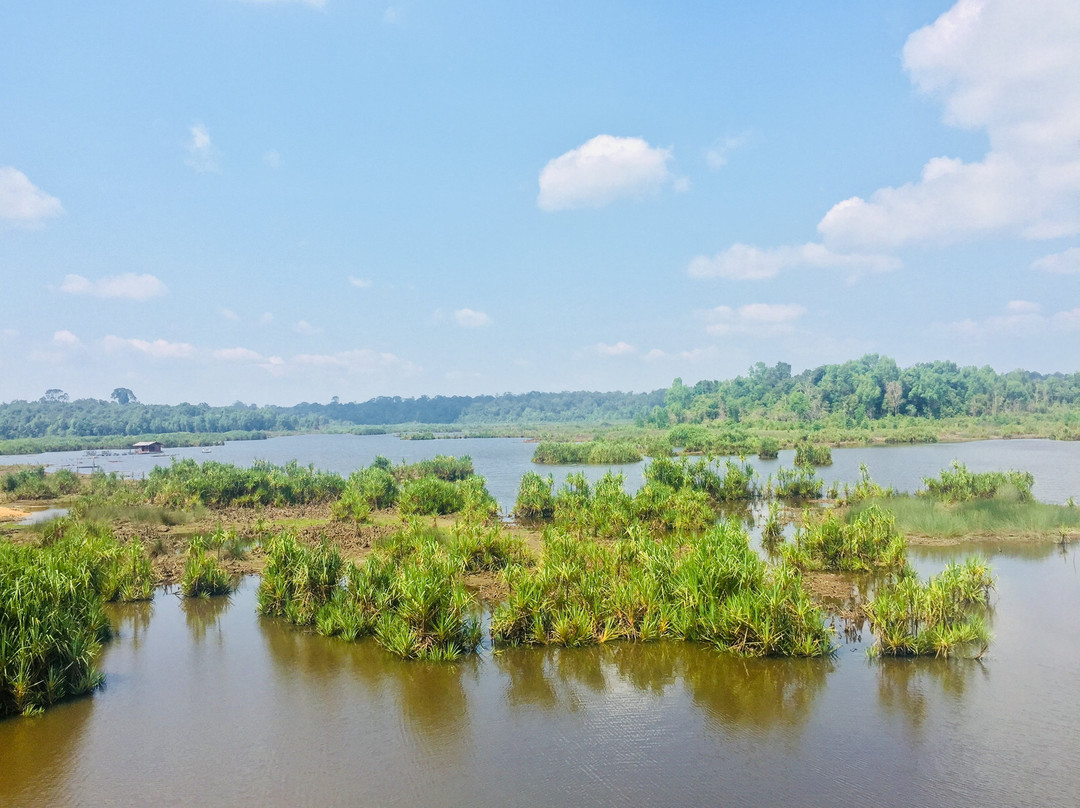 Tasek Bera景点图片