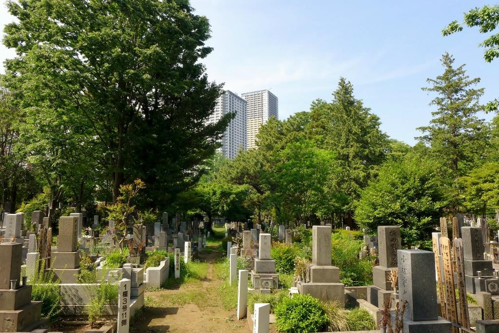 Zoshigaya Cemeteries景点图片