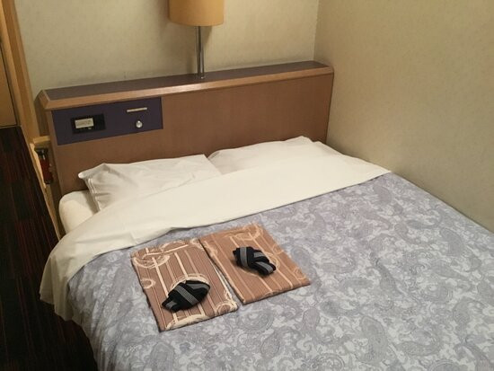 札幌提特拉斯匹利特酒店主图