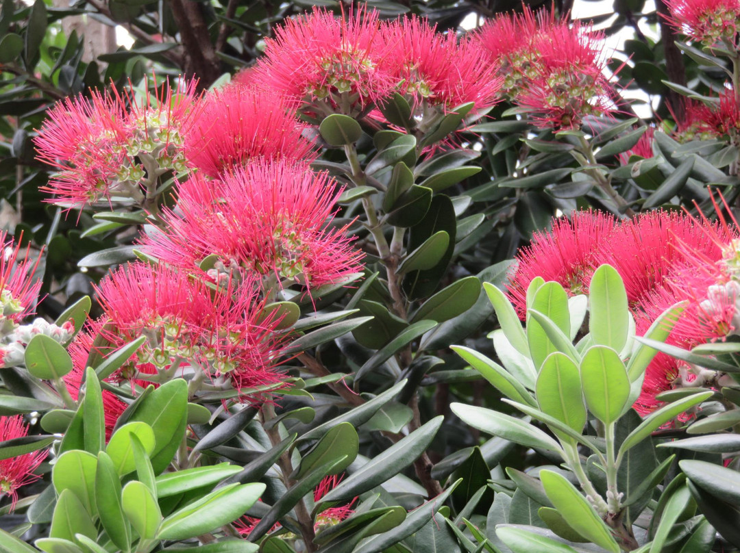 奥塔胡胡旅游攻略图片