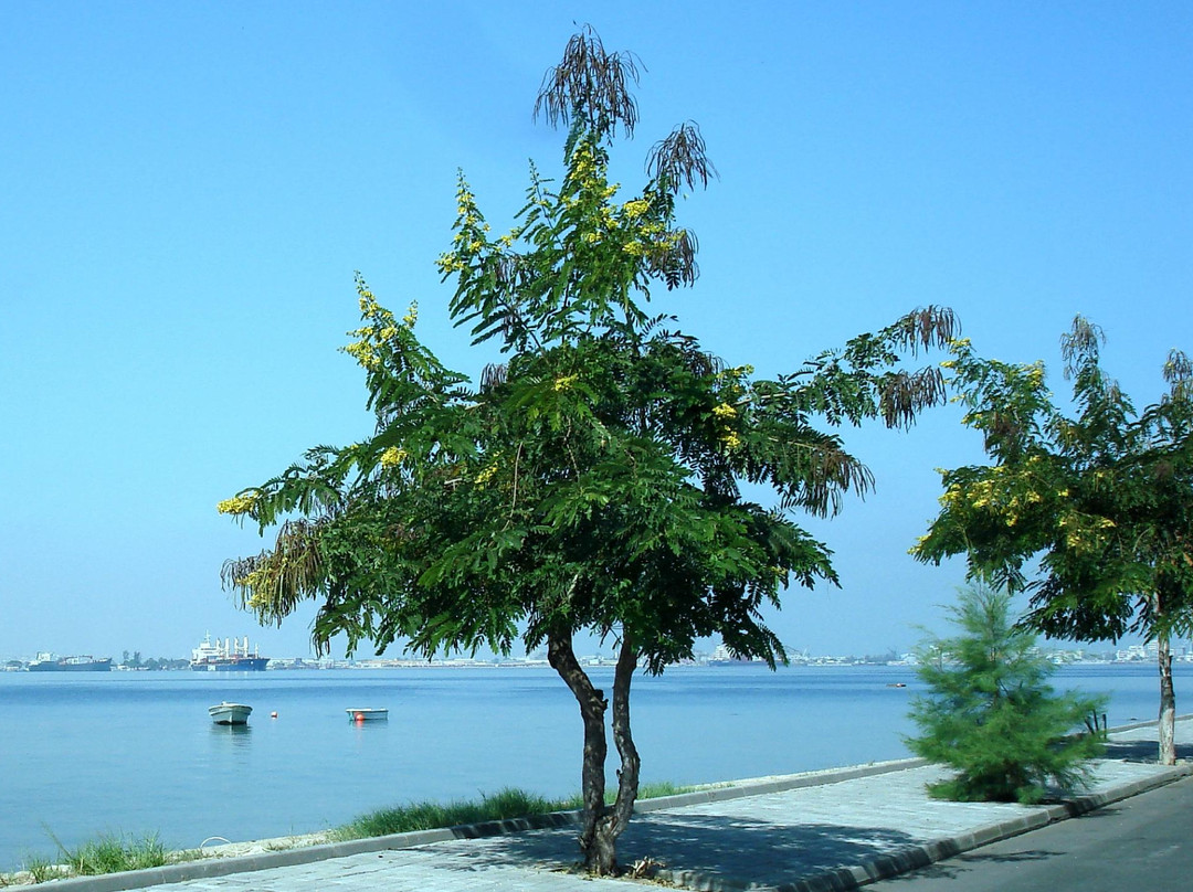 Benguela Province旅游攻略图片