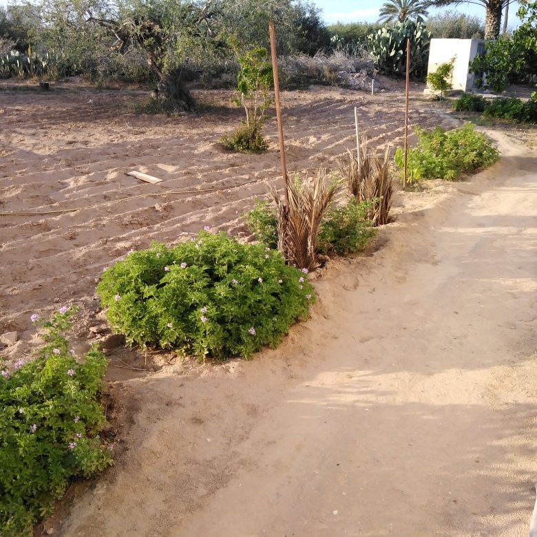 Mahboubine旅游攻略图片