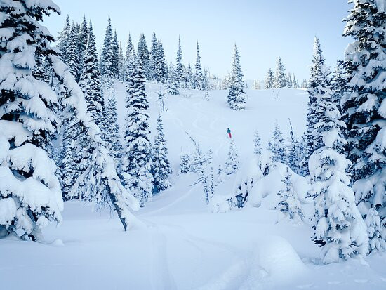Hellroaring Powder Guides-西黄石镇必去景点