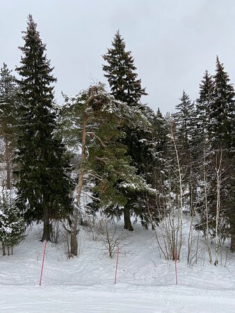 Ski Resort Sorochany景点图片