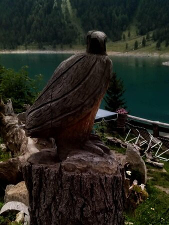 Neves-stausee - Lago Di Neves-Lappago必去景点