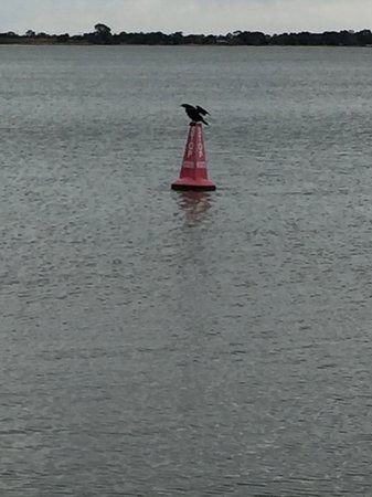 Lake Boga-Lake Boga必去景点