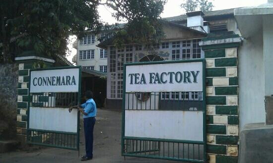 Connemara Tea Factory景点图片