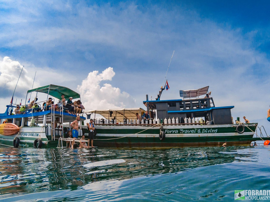 Forra Diving - Day Tour景点图片