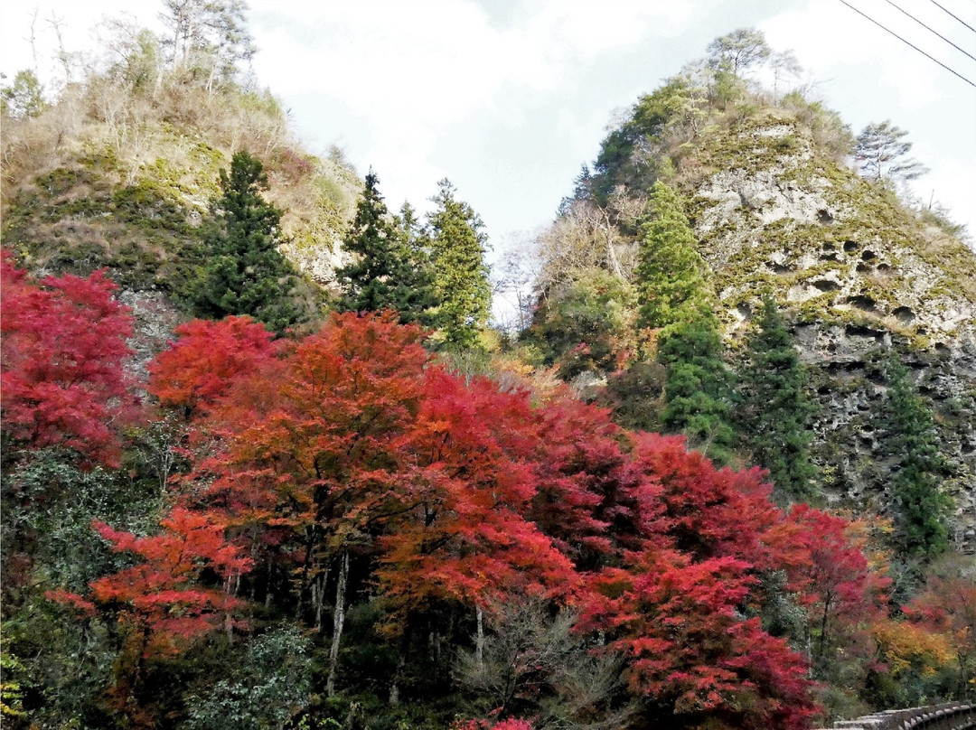 Furuiwaya